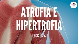 4 ATROFIA E HIPERTROFIA MUSCULAR FISIOLOGÍA MUSCULAR [upl. by Ymmik]