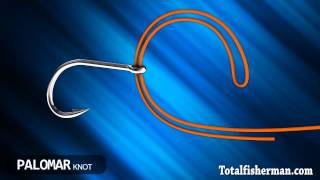 Best Fishing Knot [upl. by Towill701]