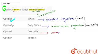 Which animal is not ammonotelic [upl. by Westphal]