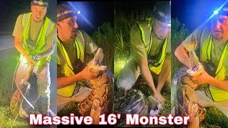 Man Catches Massive Monster Snake in Florida Wetlands Giant pythons to do exist [upl. by Hump]