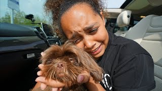 TIANA CRIED TIANAS PUPPY IS COMING HOME [upl. by Darra]