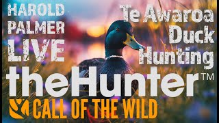 Te Awaroa Duck Hunting  Mallard Madness [upl. by Martinelli324]