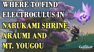 EN Where To Find Electroculus In Narukami Shrine Araumi and Mt Yougou Genshin Impact Guide [upl. by Thebault876]