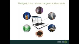 EBI Metagenomics analysing and exploring metagenomics data [upl. by Assirod]