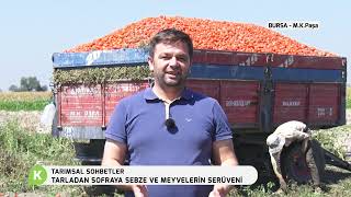 TARLADAN SOFRAYA SEBZE VE MEYVELERİNİN SERÜVENİ  TARIMSAL SOHBETLER [upl. by Ellenwahs186]