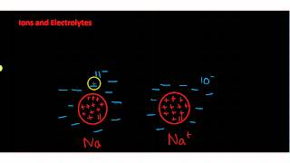 Ions and Electrolytes [upl. by Adihsar]