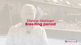 Nutrition tips for pigeon breeders of Etienne Meirlaen  breeding season [upl. by Harriet]