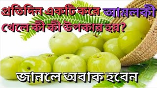 আমলকীর উপকারিতা ও ঔষধি গুণ Amlokir upokarita o gunagun alochona etc [upl. by Ayiak789]