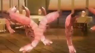 shrimp dancing to stereo love [upl. by Etana136]