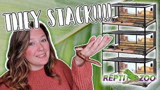 New Snake Enclosures Hognoses and Sand Boa  Reptizoo Stackable Enclosure Review [upl. by Ursi]