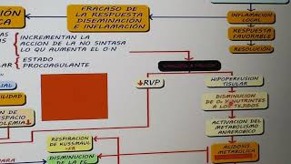 Resumen completo de sepsis y sindrome de disfuncion multiorganica [upl. by Takara]