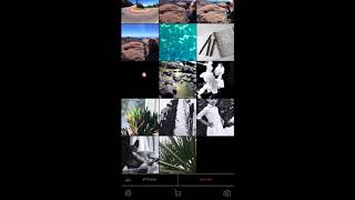 Filmborn App How to Do a Quick Edit [upl. by Etnohs]