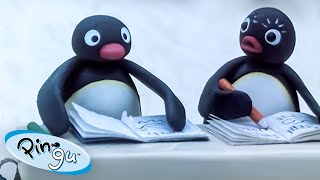 Pingu at School 🐧  Pingu  Official Channel  Cartoons For Kids [upl. by Sirrap]