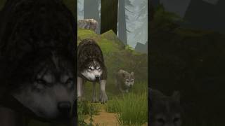 Wolf cartoon videoanimation [upl. by Fania]