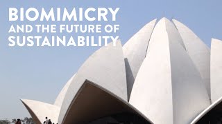 Biomimicry and The Future of Sustainability [upl. by Leo]