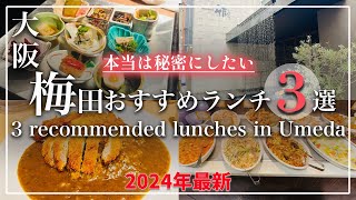 【大阪 梅田 おすすめランチ 2024年最新】本当は秘密にしたい｜３選｜絶対外さないランチ｜梅田ランチ [upl. by Kehsihba475]