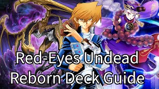 Banish Negate and Special Summon all during Opponents Turn RedEyes Undead Reborn Deck Guide [upl. by Crelin282]