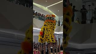 Yi Ngai Lion Dance [upl. by Corsetti]