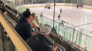 14 Preds vs Hespeler Shamrocks 10uAA  Game 2 [upl. by Yddur]