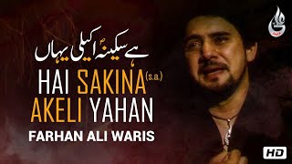 Farhan Ali Waris  Hai Sakina Akeli Yahan  Noha  2013 [upl. by Amorete]