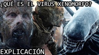 ¿Qué es el Virus Xenomorfo EXPLICACIÓN  El Virus Negro o Black Goo del Universo de Alien EXPLICADO [upl. by Arahd]