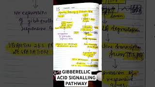 GIBBERELLIC ACID SIGNALLING PATHWAY CSIR LIFE SCIENCES BIOLOGYbiology csirnet gibbrellin msc [upl. by Genesia]