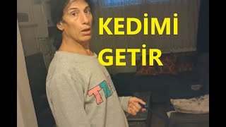 ŞEHİR ŞEHİR GEZEN KEDİ SIÇIRIK [upl. by Reese]