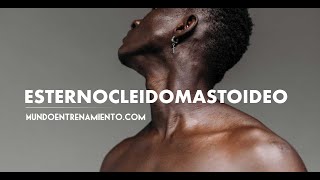 ESTERNOCLEIDOMASTOIDEO [upl. by Ardnot]