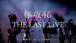 Keyakizaka46 The Last Live Concert – DAY 2 20201013 [upl. by Danette]