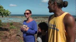 Aqua Kids  Waimea Bay and Turtle Beach  Hawaiian Adventure [upl. by Orat]