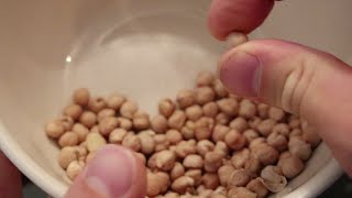 How to Cook Dried Garbanzo Beans Chick Peas [upl. by Airednaxela]