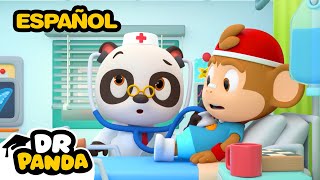 El Doctor  Profesiones para Niños  Episodio Completo  Dr Panda en Español [upl. by Evot314]