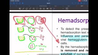 Part 1 Diagnosis of viral infections Direct examinations  Indirect examinations ￼ [upl. by Oeak108]