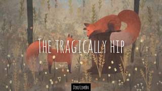 The Tragically Hip Ahead By A Century Lyrics Video [upl. by Cogan]