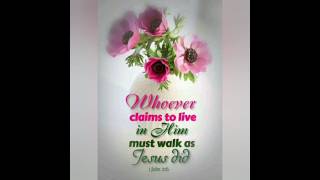 Bible verses  bible scriptures  words of wisdom biblemeditationbiblepassagesshortsfeed [upl. by Annirak]