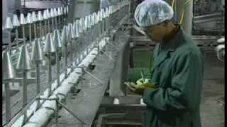 US Poultry Quality Control and Food Safety [upl. by Meijer582]