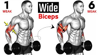 7 BEST Exercises for WIDER BICEPS [upl. by Ojok595]