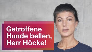 Getroffene Hunde bellen Herr Höcke [upl. by Kirad]