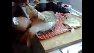 Ciscenje ribe sarana posebnom metodom  How to Clean a Fish [upl. by Lawson]