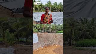 Best Site Selection for Farm Pond  பண்ணைகுட்டைக்கு சரியான இடம் தேர்வு shortsfeed shorts farming [upl. by Hsetim]