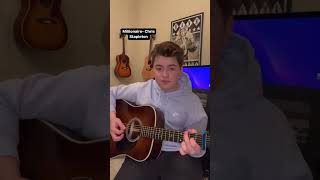 Millionaire  Chris Stapleton acoustic cover clip [upl. by Arianne]