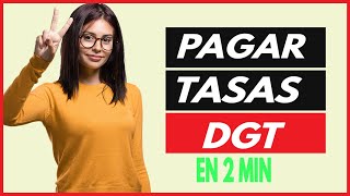 pagar tasas dgt por internet en segundos modelo 791 [upl. by Novej]