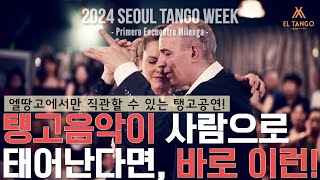 2024서울탱고위크 아르헨티나탱고 공연을 강남 엘땅고에서 1년에 딱 한번 눈 앞에서 직관할 수 있는 기회 Horacio Godoy y Maricel Giacomi 공연1 [upl. by Cowie240]