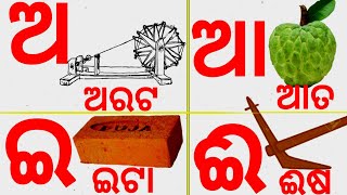 Odia BarnaMala  ଓଡ଼ିଆ ବର୍ଣ୍ଣମାଳା   Odia Barnabodha  Odia Alphabets [upl. by Anahsak]