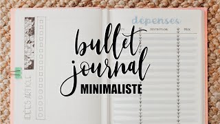 MON BULLET JOURNAL 2019 • Simple amp minimaliste [upl. by Atiran22]