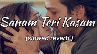 Sanam Teri Kasam lofi song  slowed reverb [upl. by Chenay720]