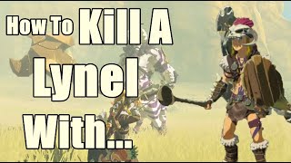 I Prefer to Parry How to Kill A Lynel in Zelda Breath of The Wild [upl. by Inal]