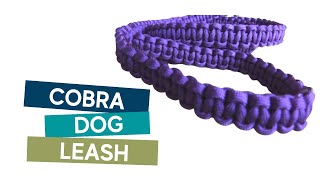 How to make a 4ft paracord cobra weave dog leash easy tutorial [upl. by Durno363]