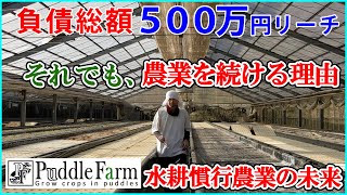 水耕農業、間もなく負債500万円超！でも続ける理由。 [upl. by Bergstein]