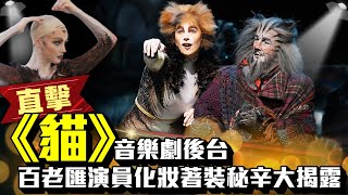 直擊《貓》音樂劇後台！ 百老匯演員化妝著裝秘辛大揭露 Cats the Musical backstage｜中時新聞網 [upl. by Goldberg]